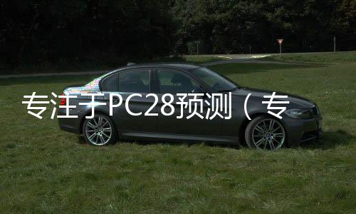 专注于PC28预测（专注pc28预测走势）